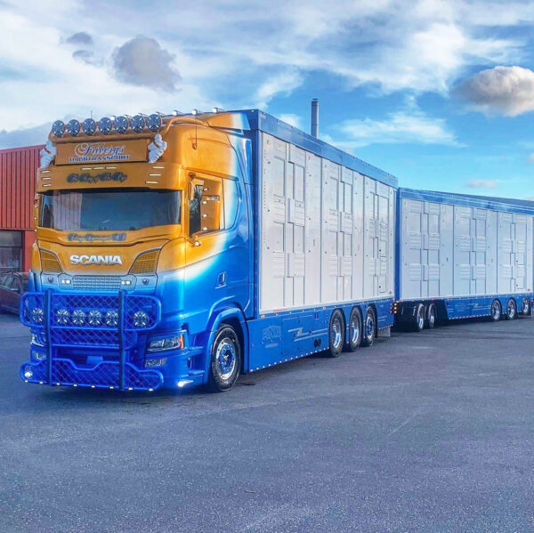 Friberg Scania Next Gen S-series Highline Swedish  85934(Vorankündigung) – Bild 4