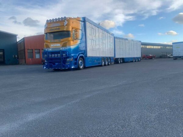 Friberg Scania Next Gen S-series Highline Swedish  85934(Vorankündigung)